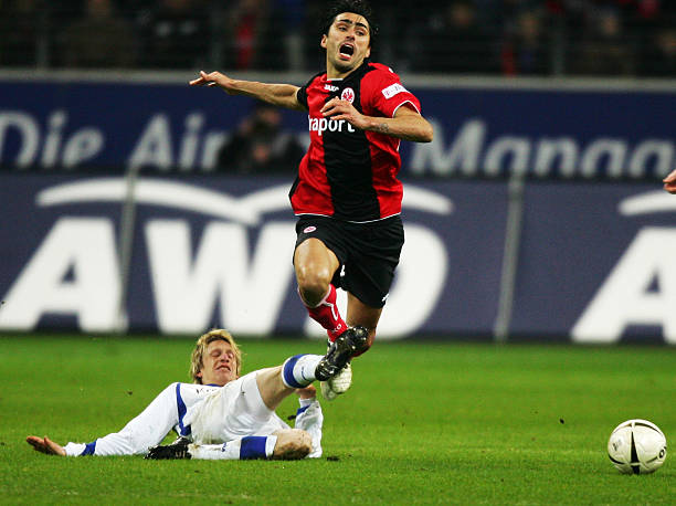 广东等拥有 广东等拥有